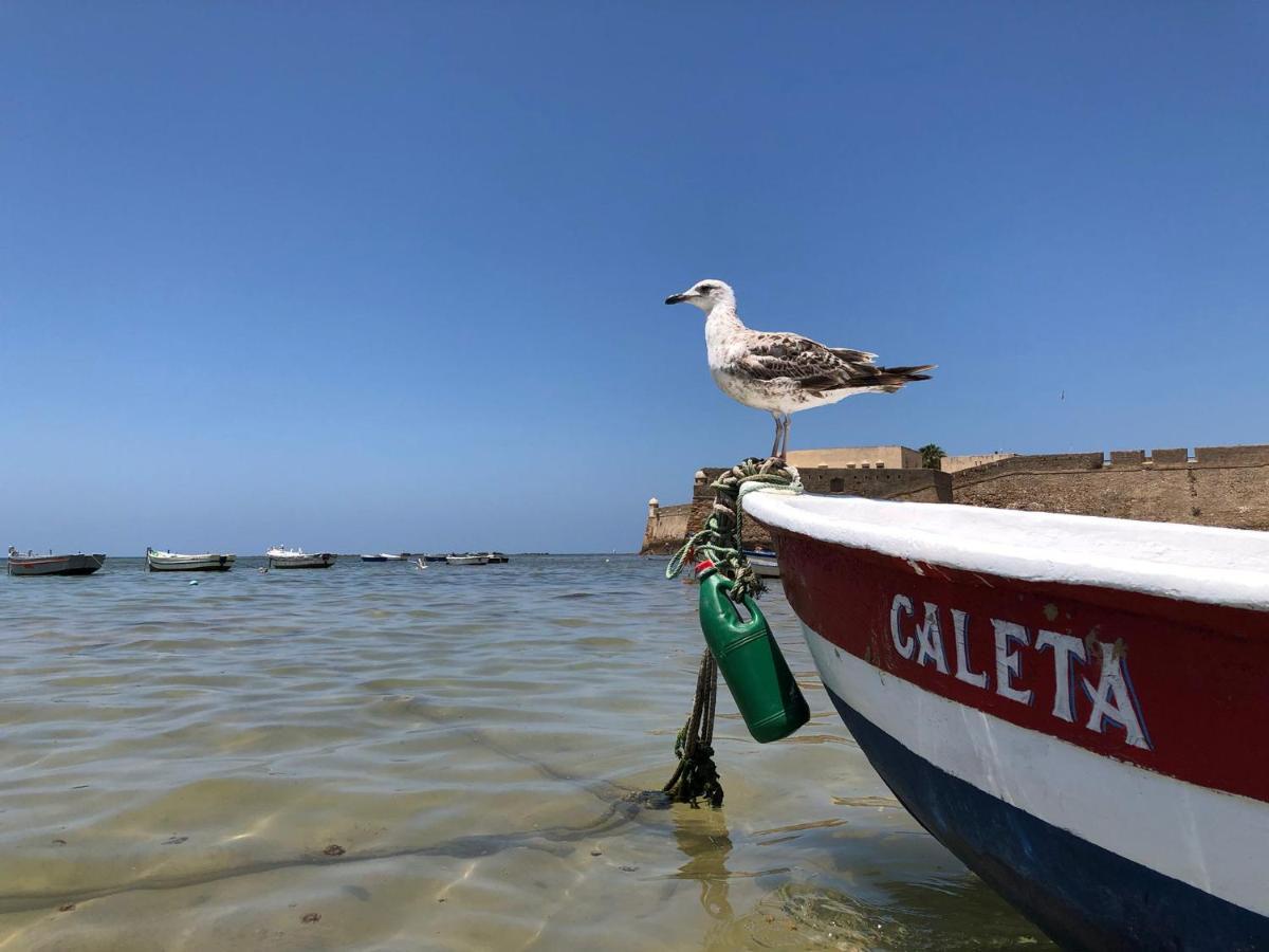 Planeta